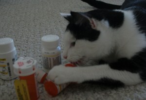 kitty pills